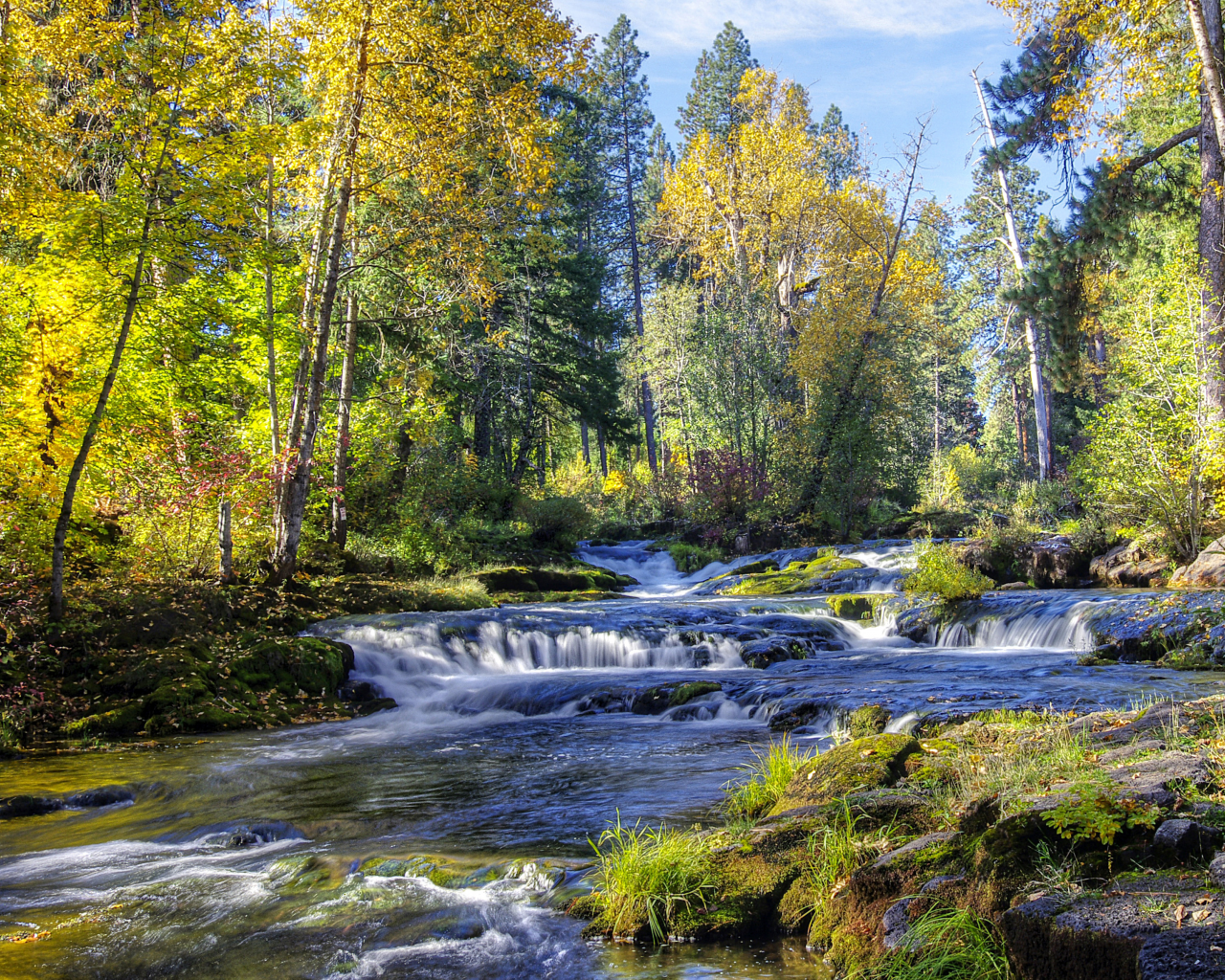 реки, водопады, леса, деревья