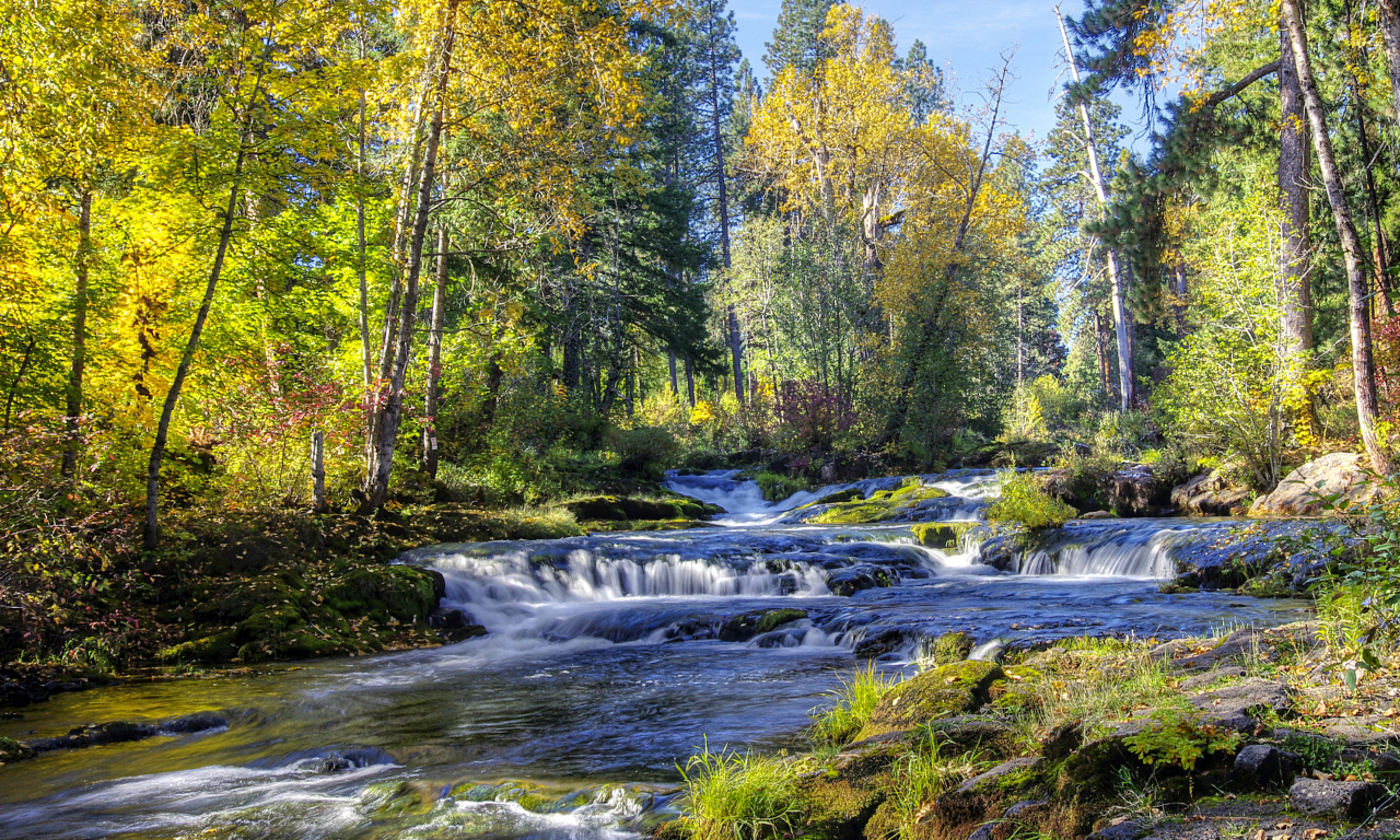 реки, водопады, леса, деревья