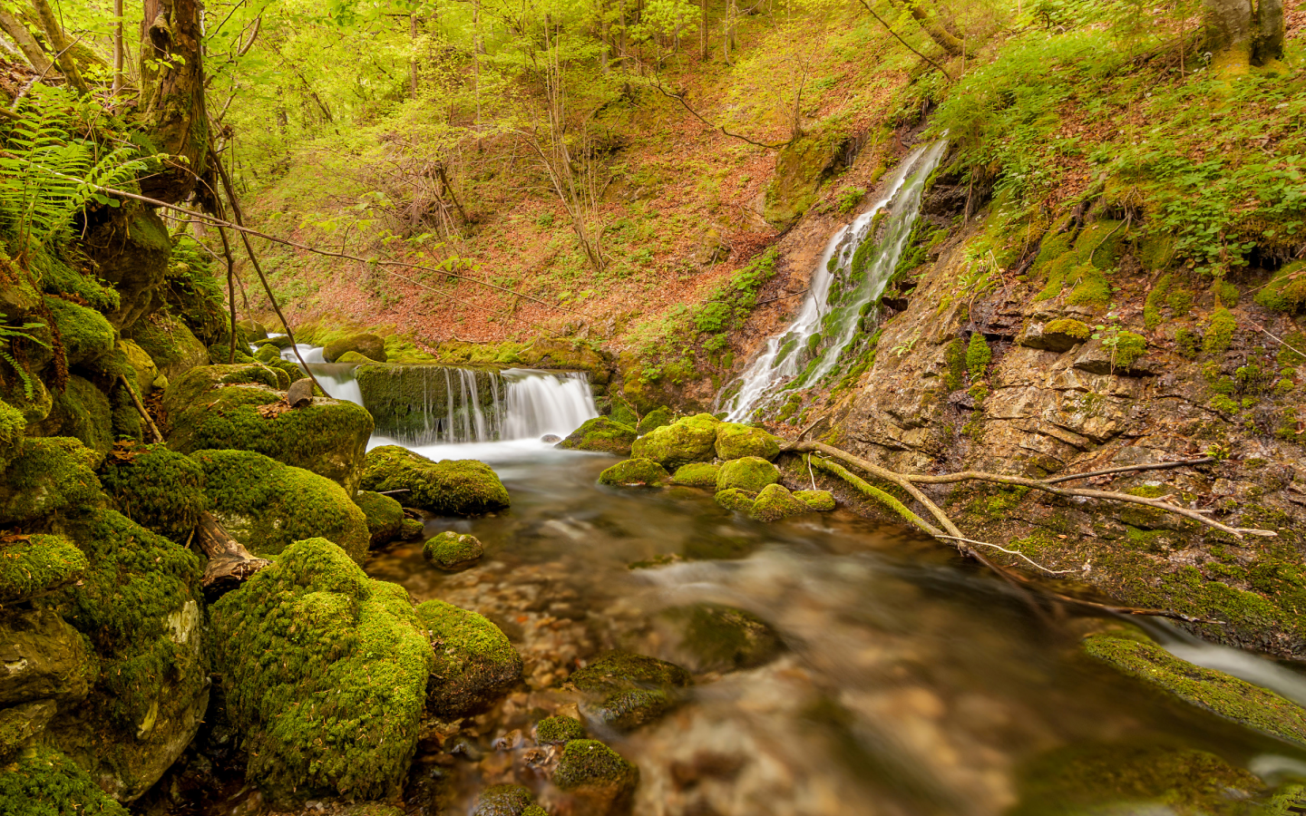 словения, реки, водопады, камни, мох