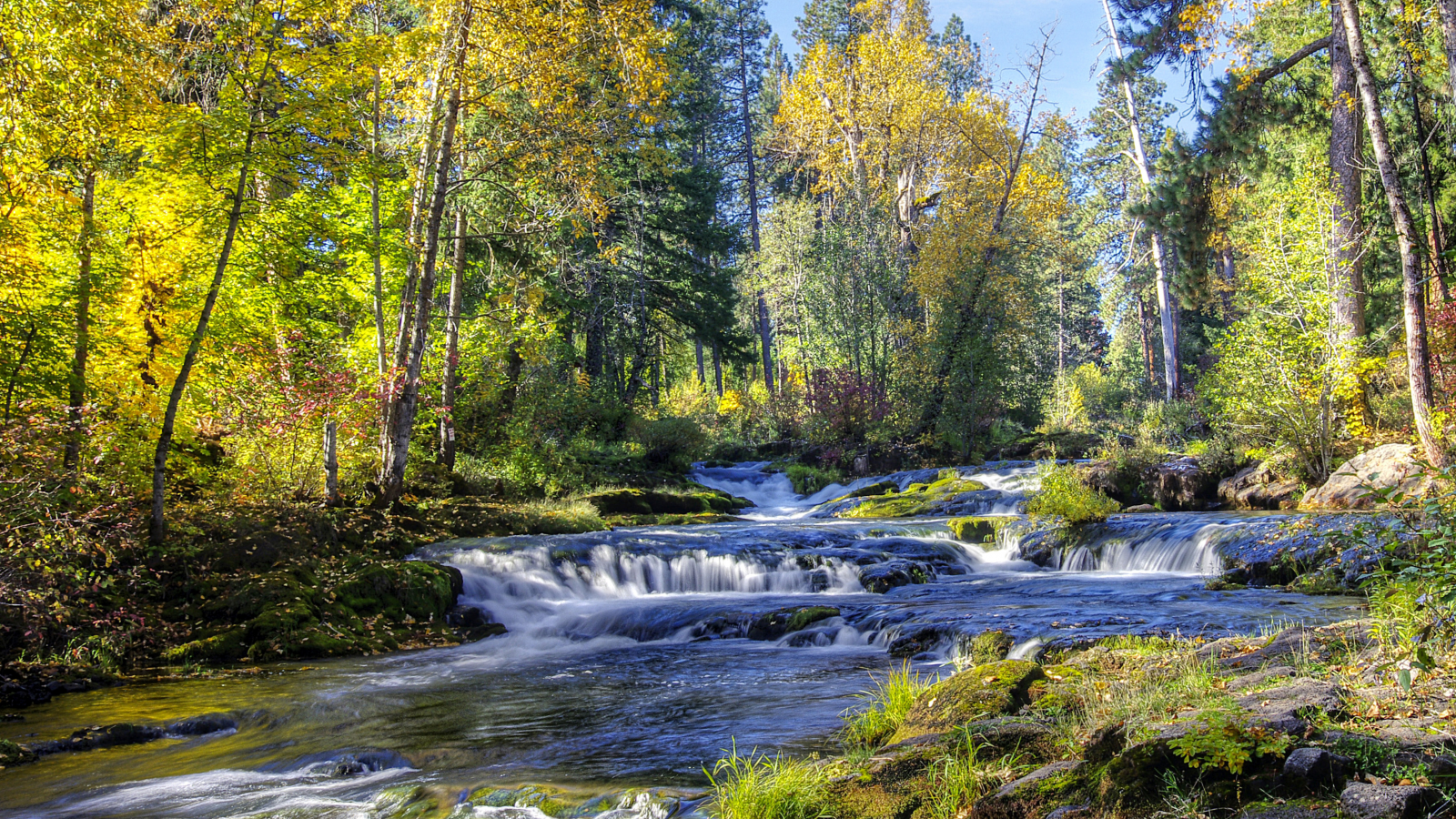 реки, водопады, леса, деревья