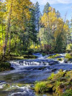 реки, водопады, леса, деревья