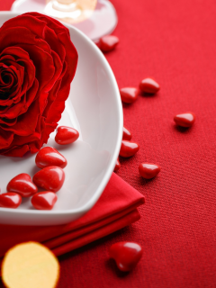 день святого валентина, розы, крупным планом, красный, сердце, тарелка