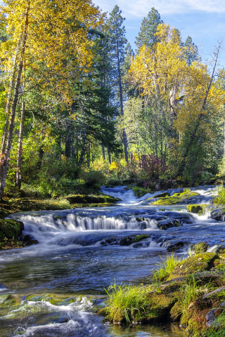 реки, водопады, леса, деревья