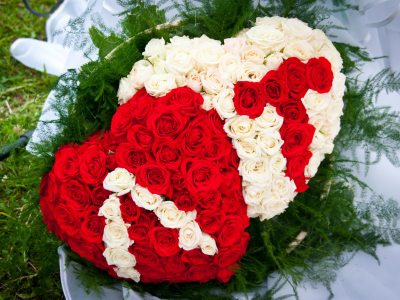 день святого валентина, розы, красный, белый, сердце