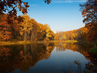 природа, осень, озеро, лес, листья