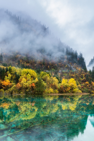 леса, осень, озеро, итай, туман, природа, горы, краски