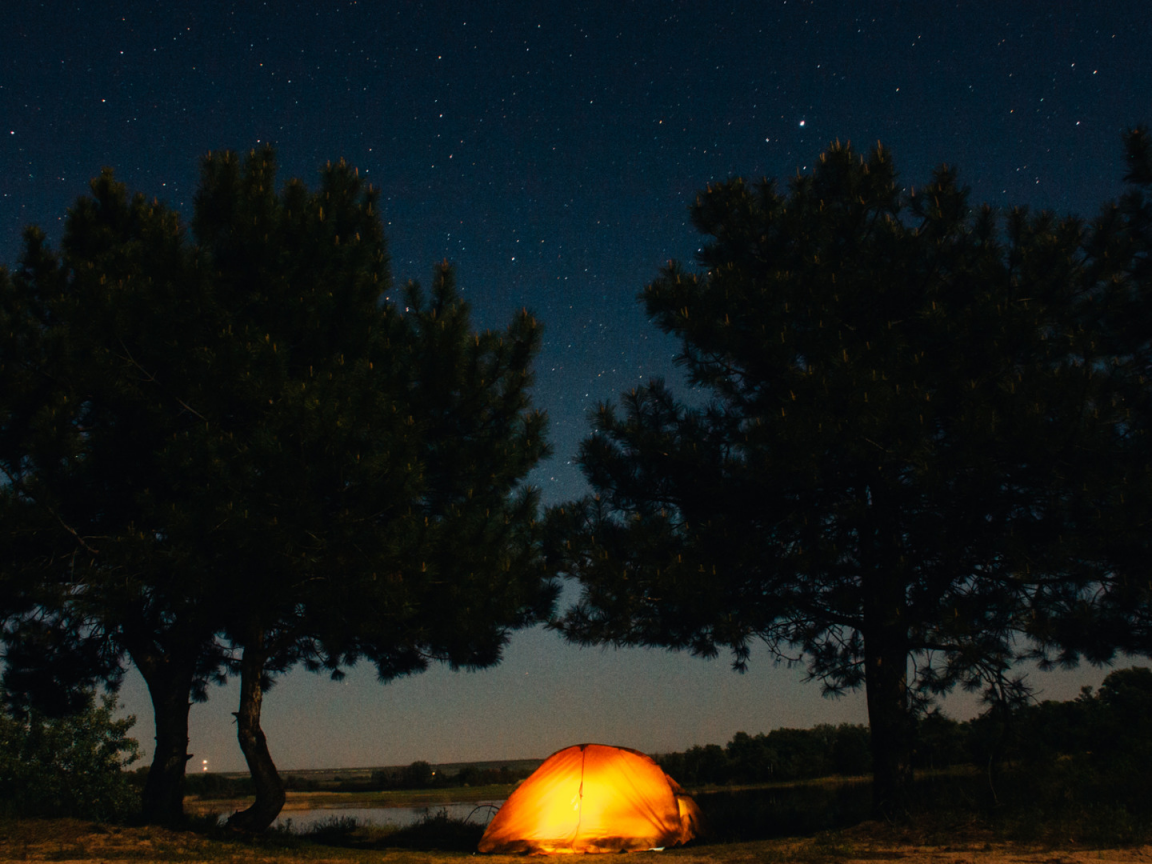 природа, ночь, палатка