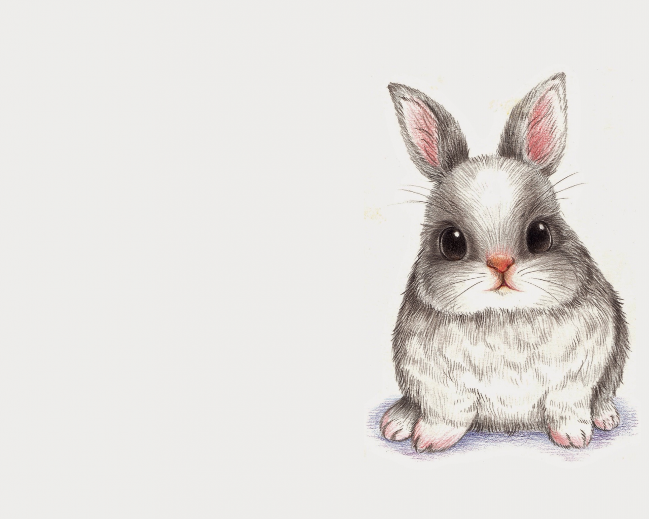 минимализм, кролик