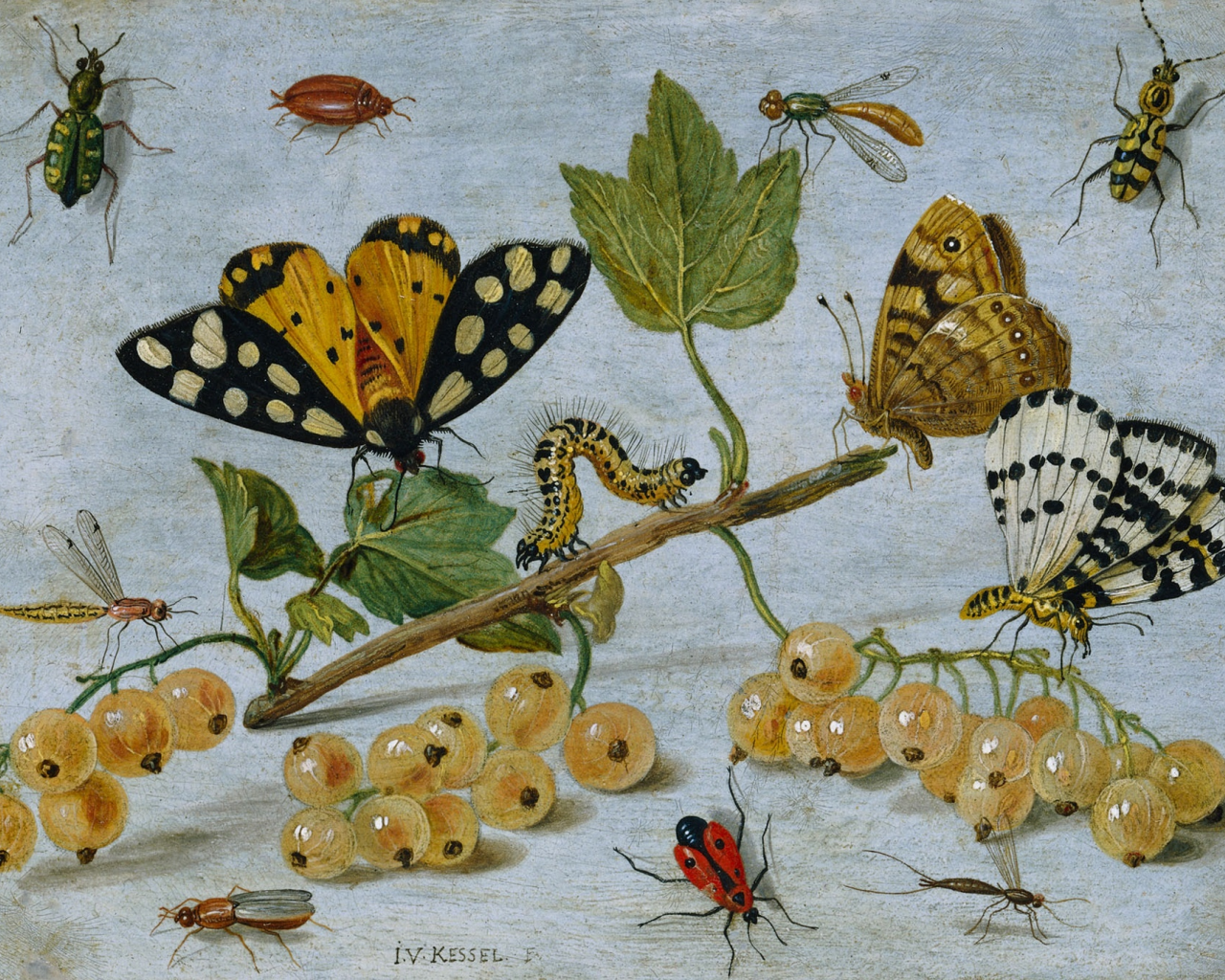 гусеница, ягоды, бабочка, масло, картина, натюрморт, смородина