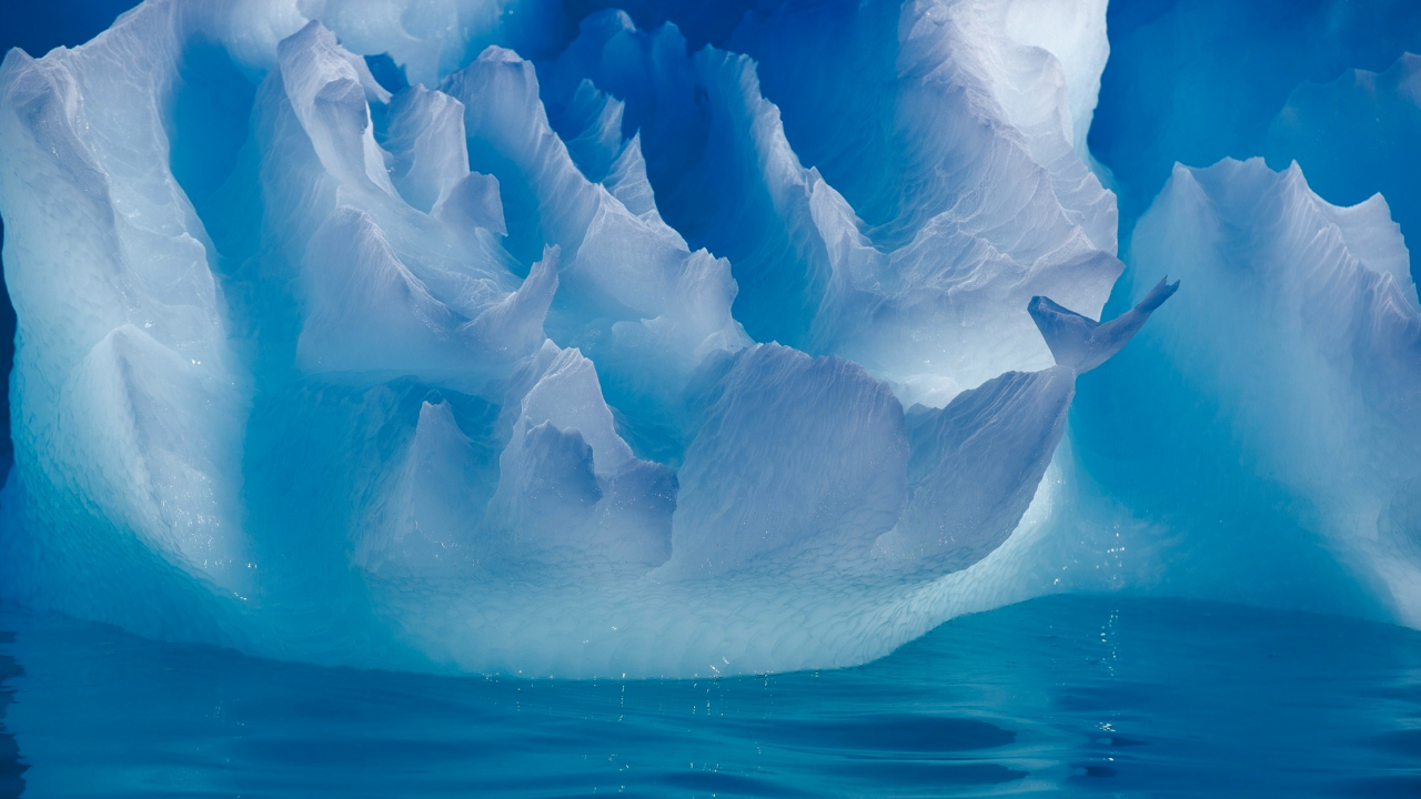 зима, вода, свет, природа, лёд, айсберг, нтарктика
