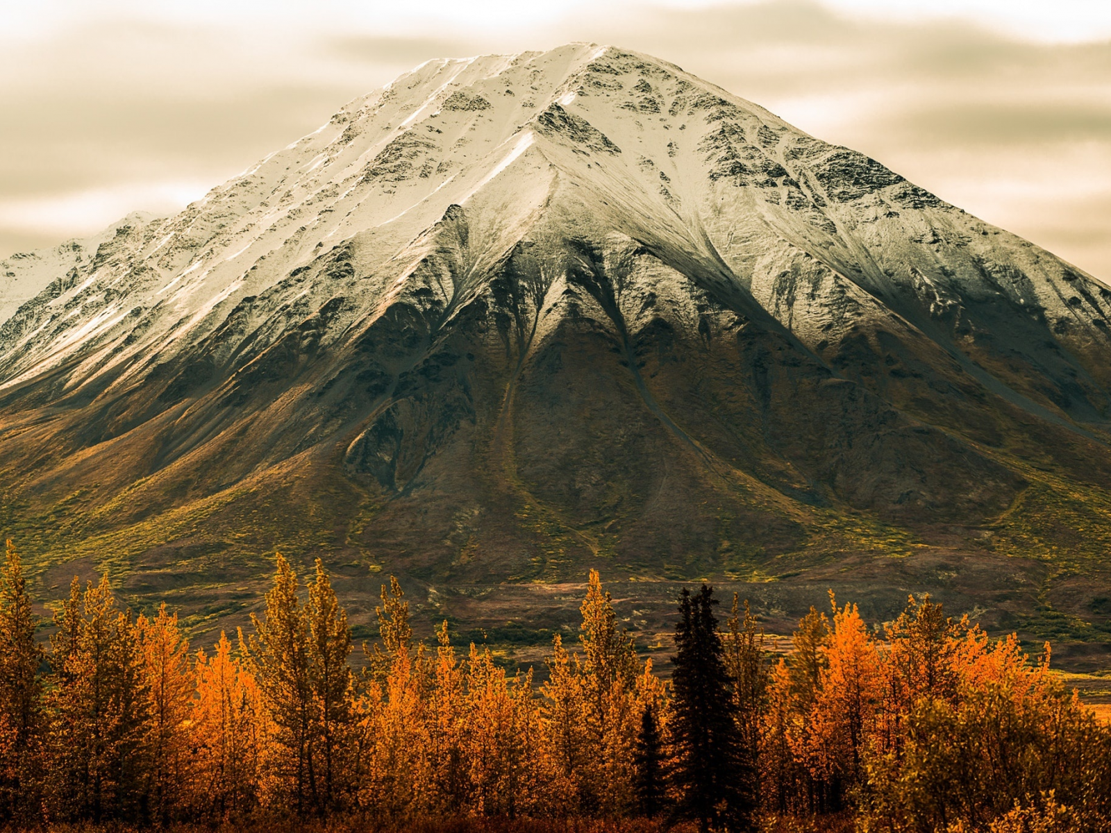 осень, лес, деревья, гора, аляска