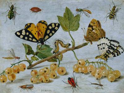 гусеница, ягоды, бабочка, масло, картина, натюрморт, смородина
