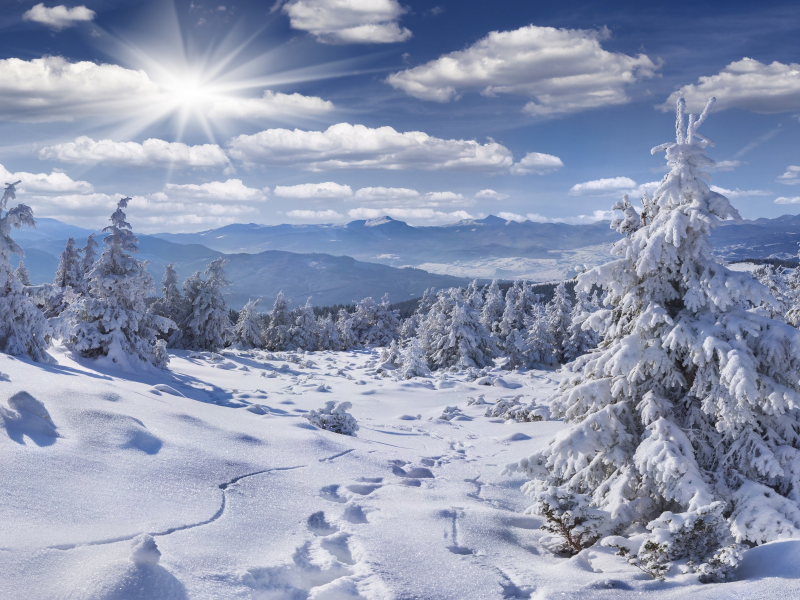 зима, лес, небо, солнце, облака, лучи, снег, горы, ветки, следы, холмы, тропа, ели, мороз, сугробы, тени