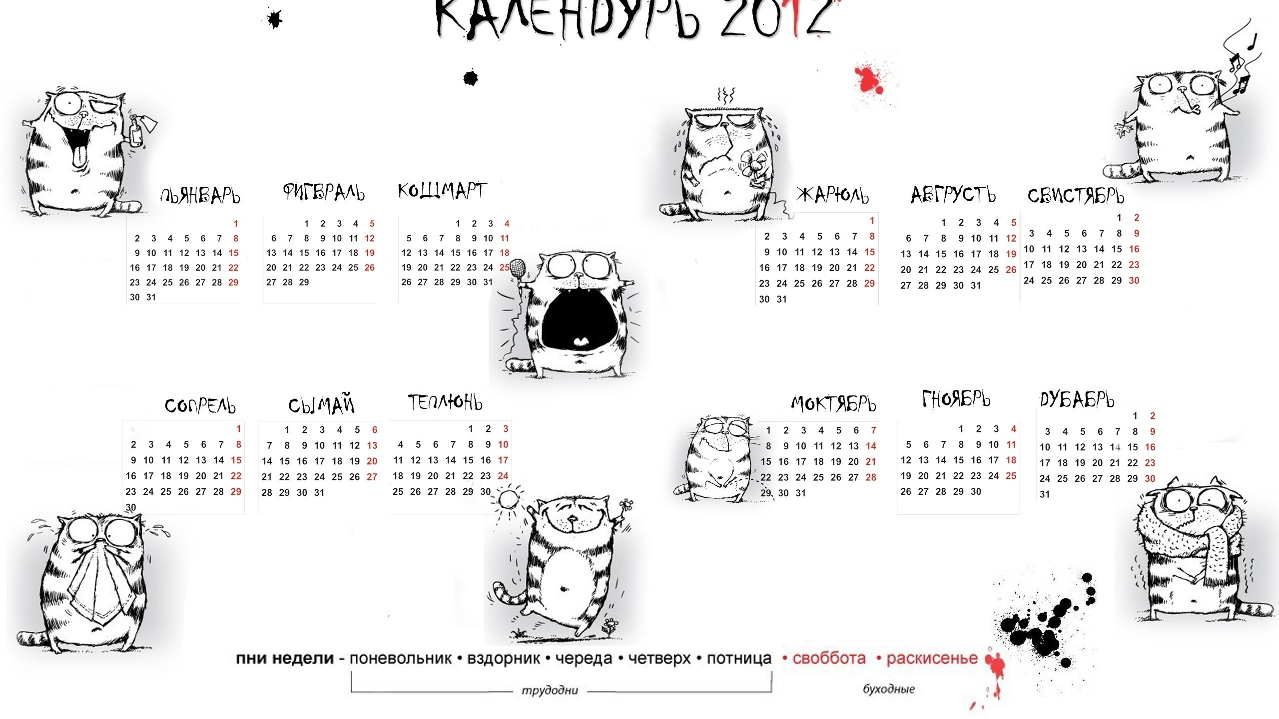календарь, коты