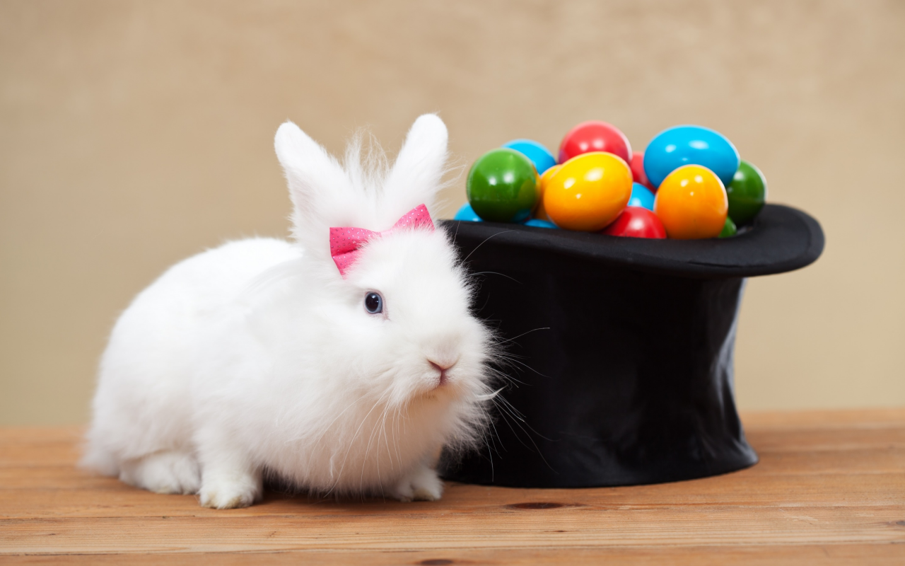 белый, кролик, праздник, цилиндр, spring, eggs, шляпа