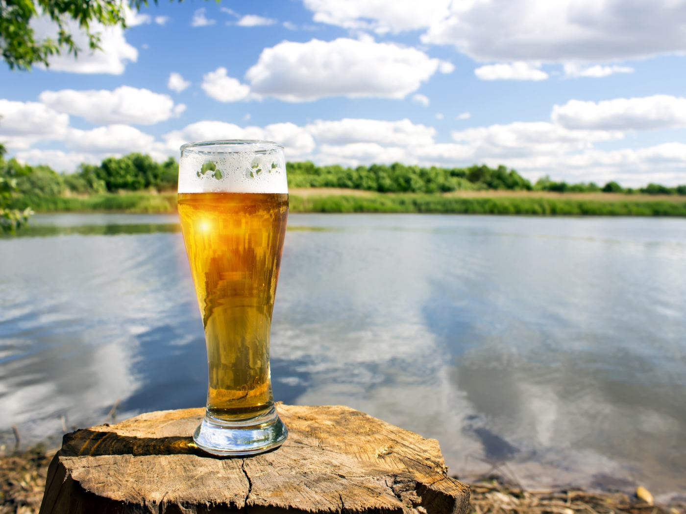 пиво, река, небо, солнце, лето, облака, настроение, зелень, боке, берег, пень, стакан, пейзаж