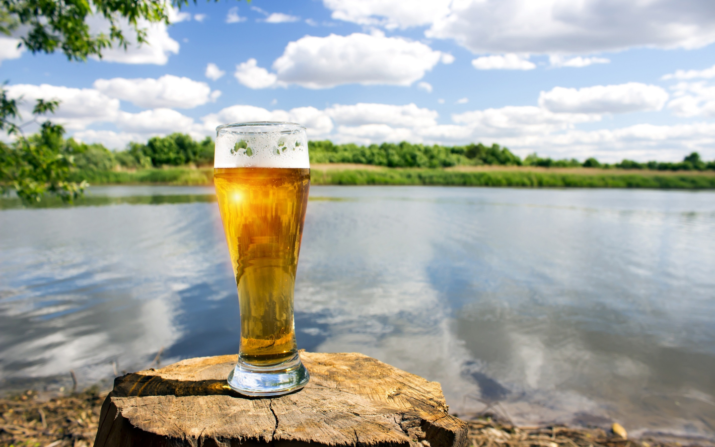 пиво, река, небо, солнце, лето, облака, настроение, зелень, боке, берег, пень, стакан, пейзаж