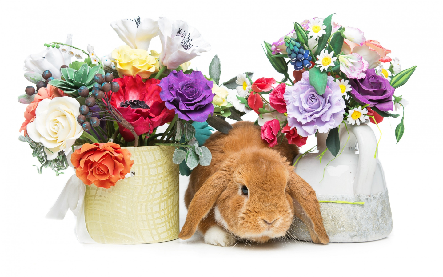 rabbit, happy, кролик, eggs, spring, flowers, цветы