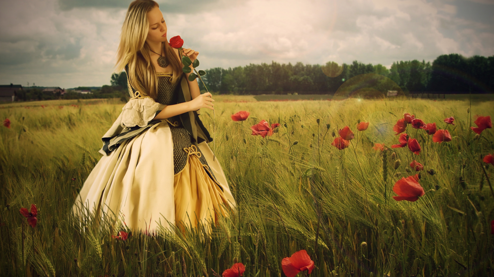 цветы, настроение, девушка, поле, маки, платье, роза