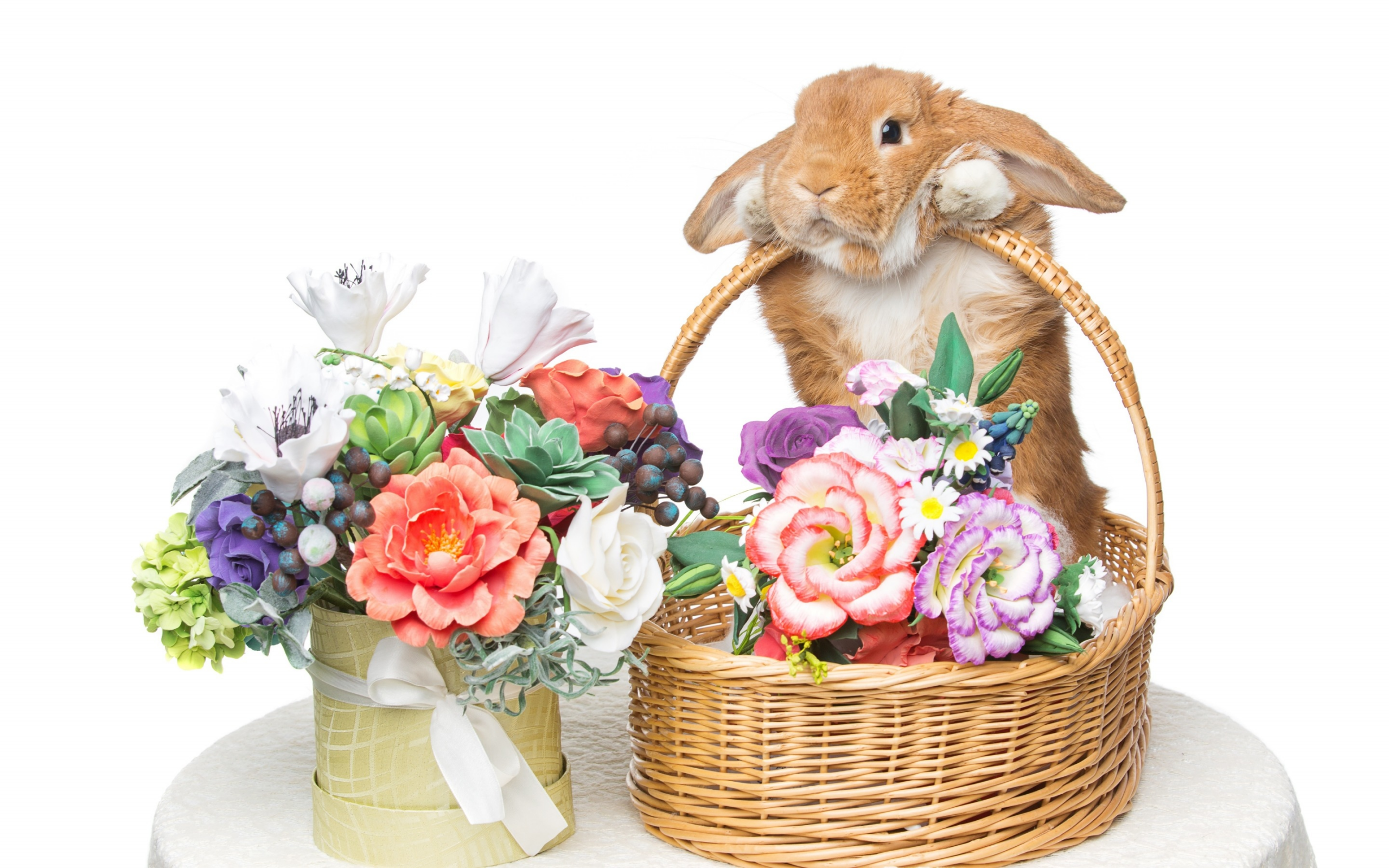 rabbit, happy, кролик, eggs, spring, flowers, цветы