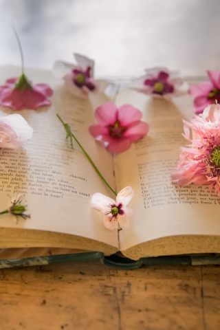 книга, фон, маки, цветы