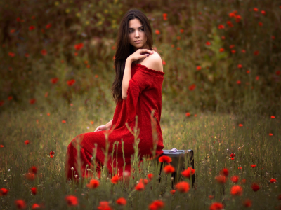красное платье, чемодан, маки, поле, девушка, брюнетка, цветы