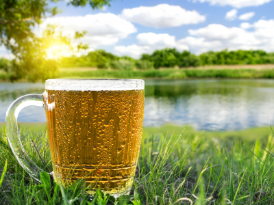 кружка, деревья, речка, зелень, лето, солнце, трава, пиво