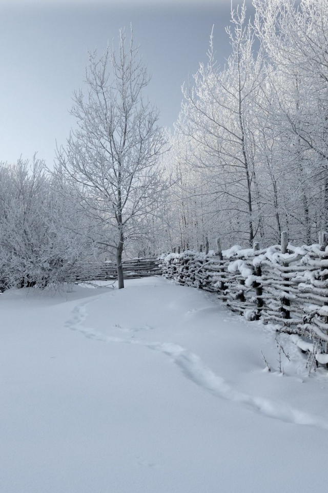 зима, снег, забор