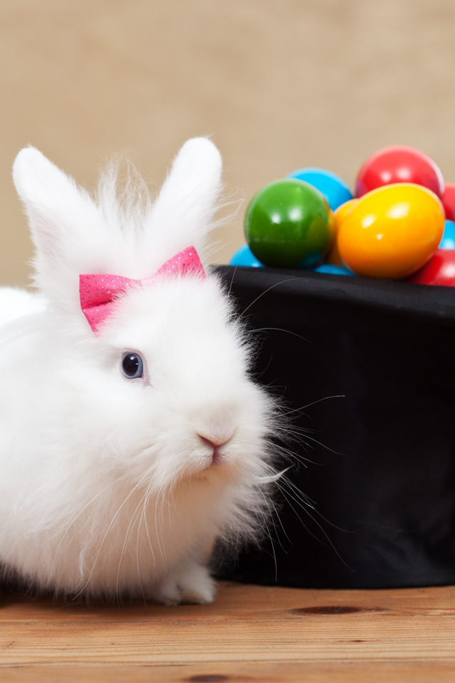 белый, кролик, праздник, цилиндр, spring, eggs, шляпа