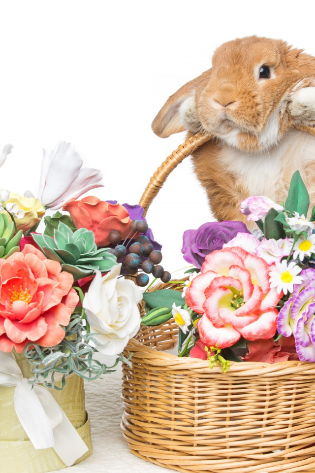 rabbit, happy, кролик, eggs, spring, flowers, цветы