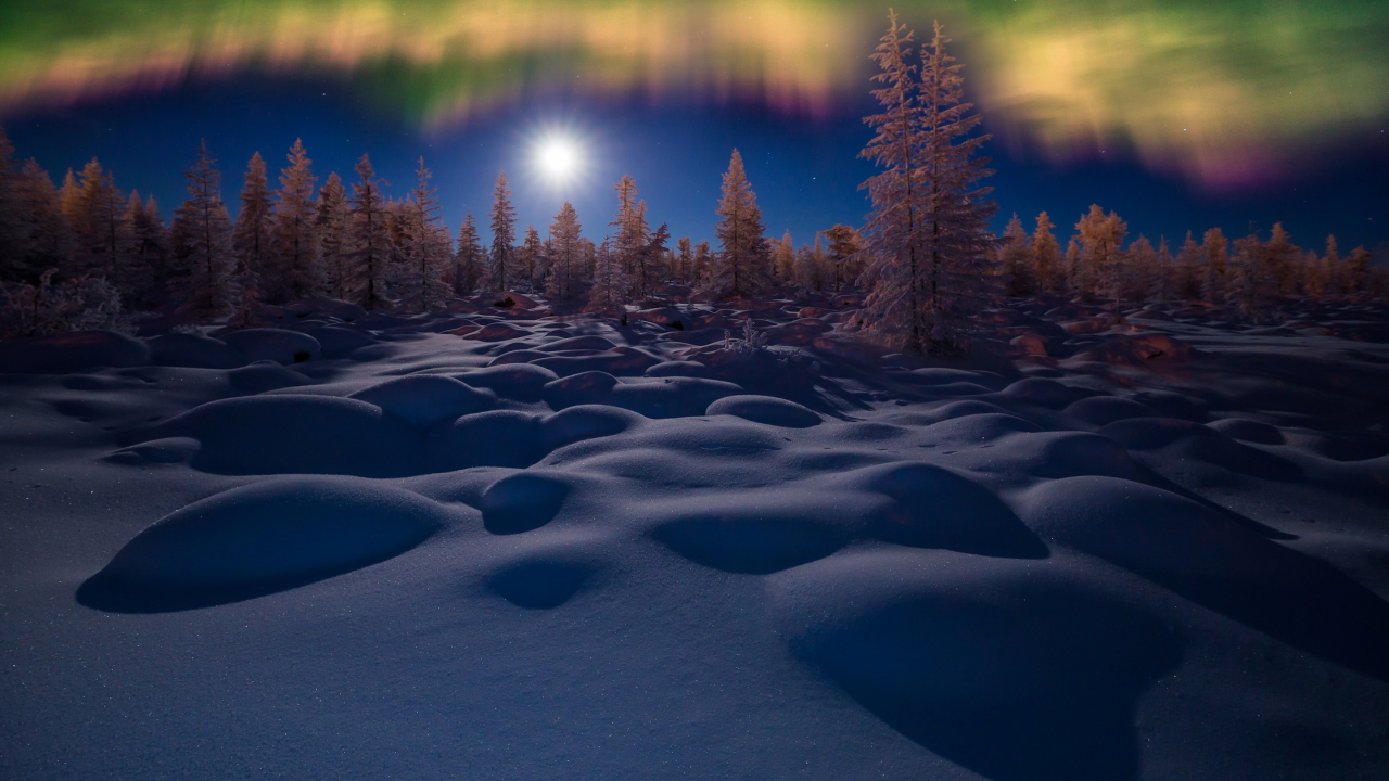 зима, лес, небо, снег, деревья, ночь, северное сияние, сугробы