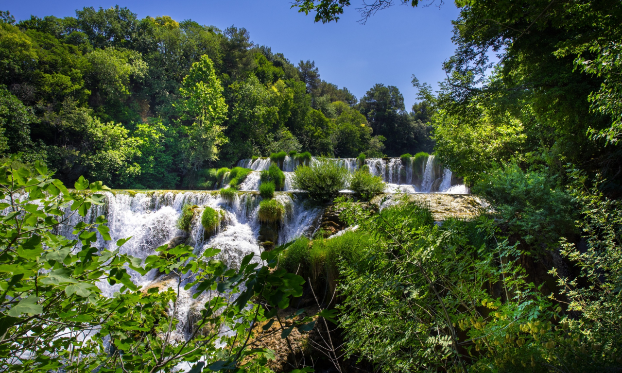 лес, деревья, водопады, каскад