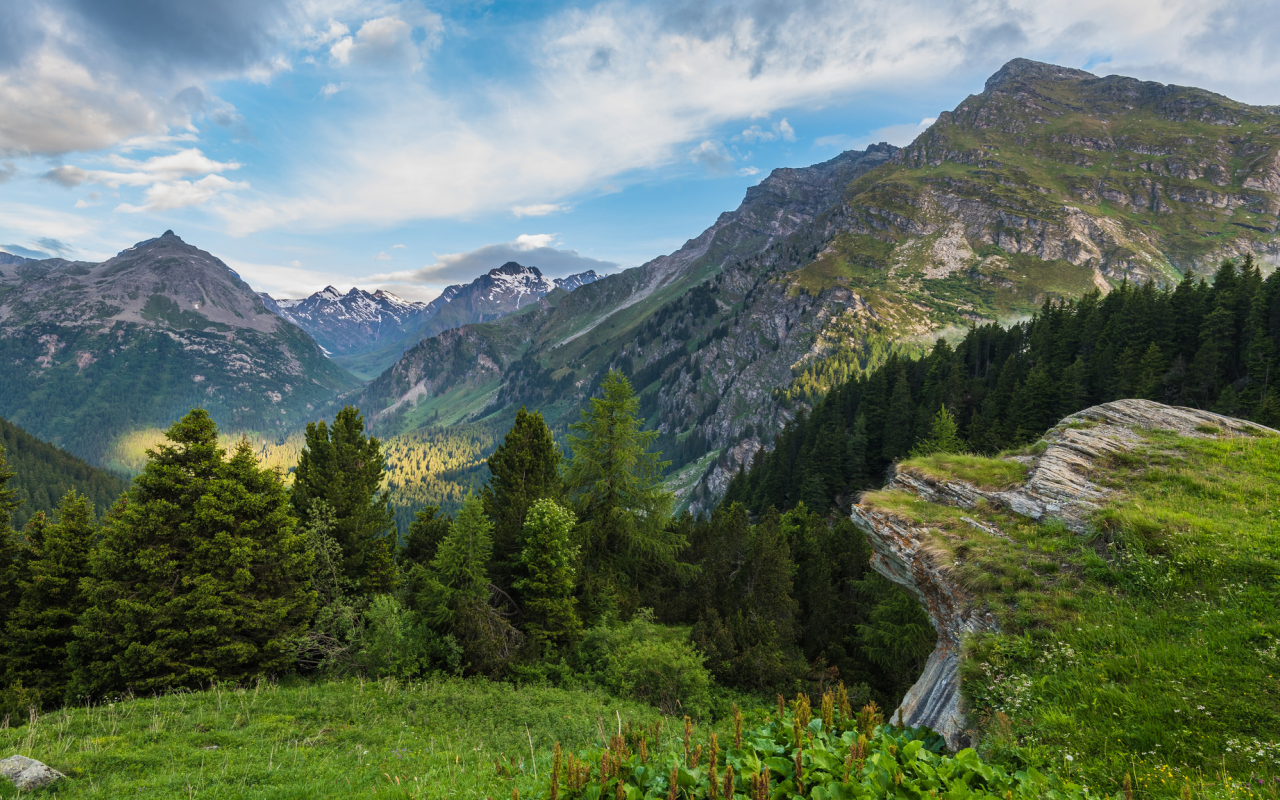 пейзаж, красота