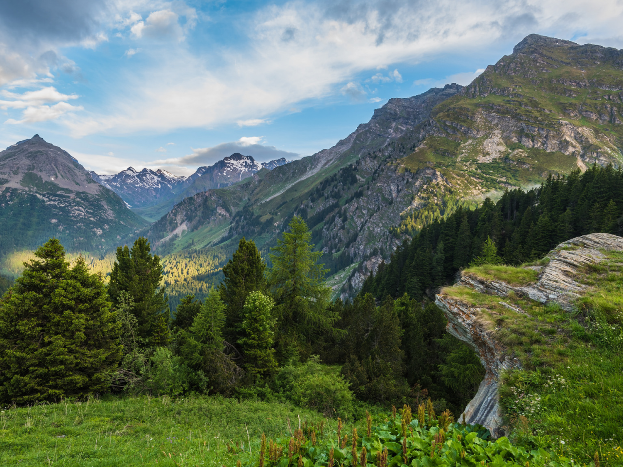 пейзаж, красота