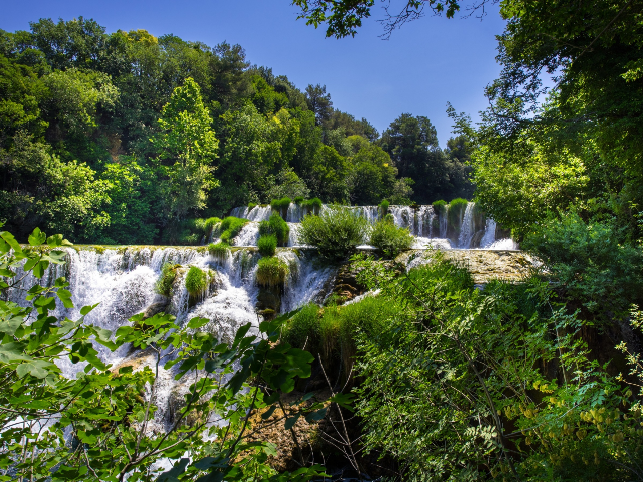 лес, деревья, водопады, каскад