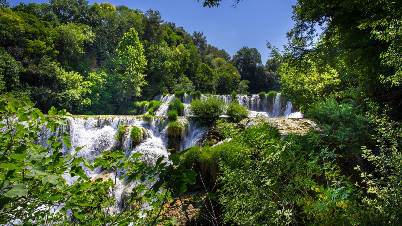 лес, деревья, водопады, каскад