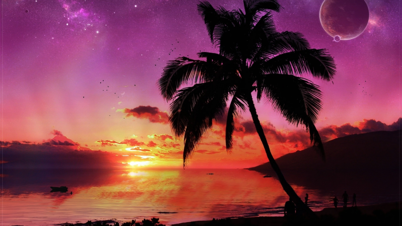 пальма, дерево, вечер, небо, планета, звезды, море, закат
