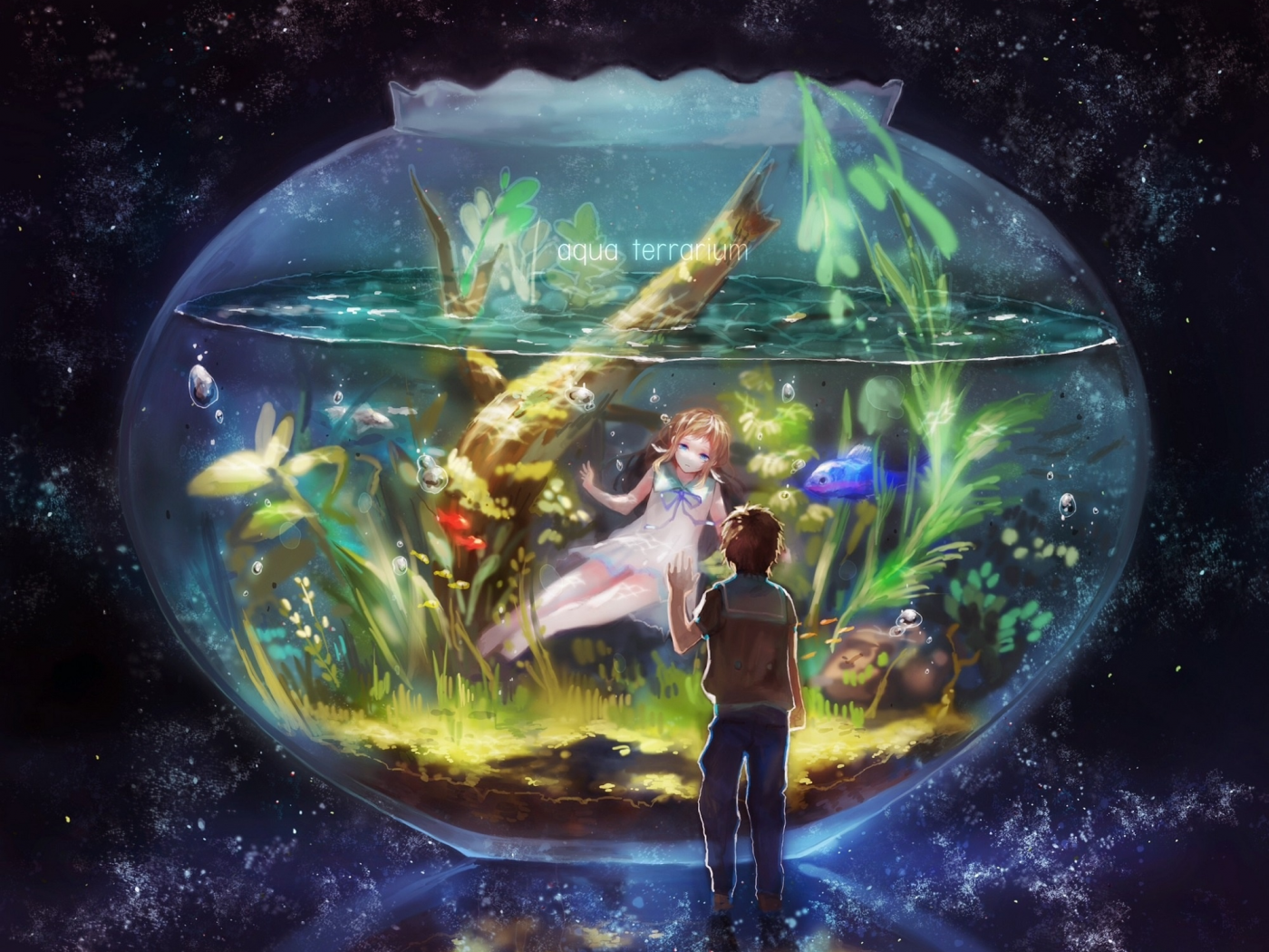 рыбки, водоросли, пузырьки, аквариум, двое, звездное небо