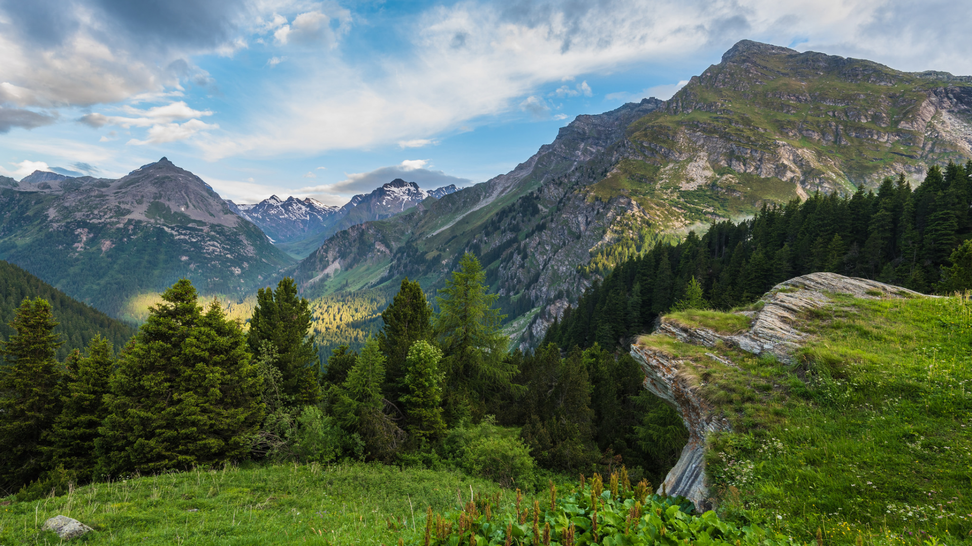 пейзаж, красота