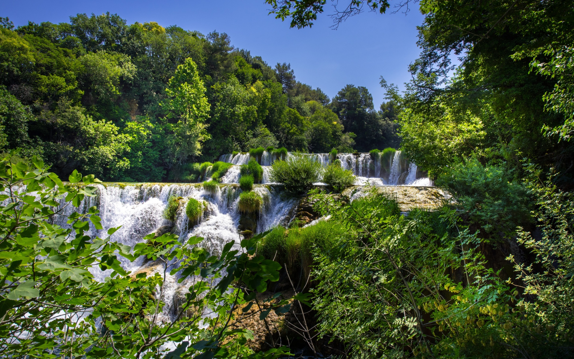 лес, деревья, водопады, каскад