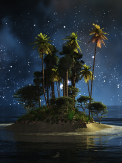 вода, ночь, пальмы, остров