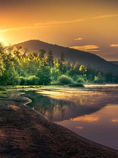 лес, солнце, деревья, горы, озеро, рассвет, берег, утро