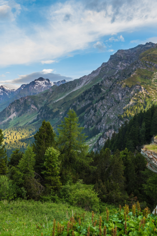 пейзаж, красота