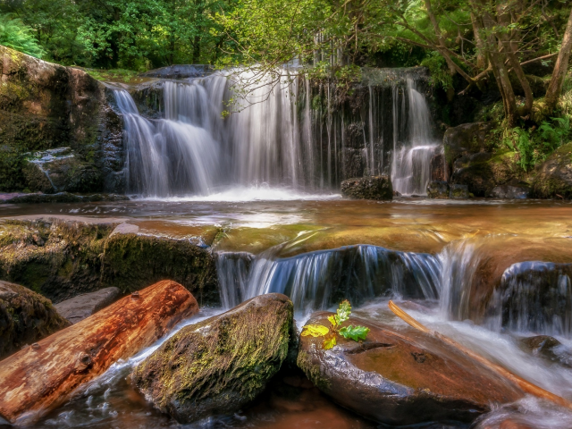 лес, камни, водопад