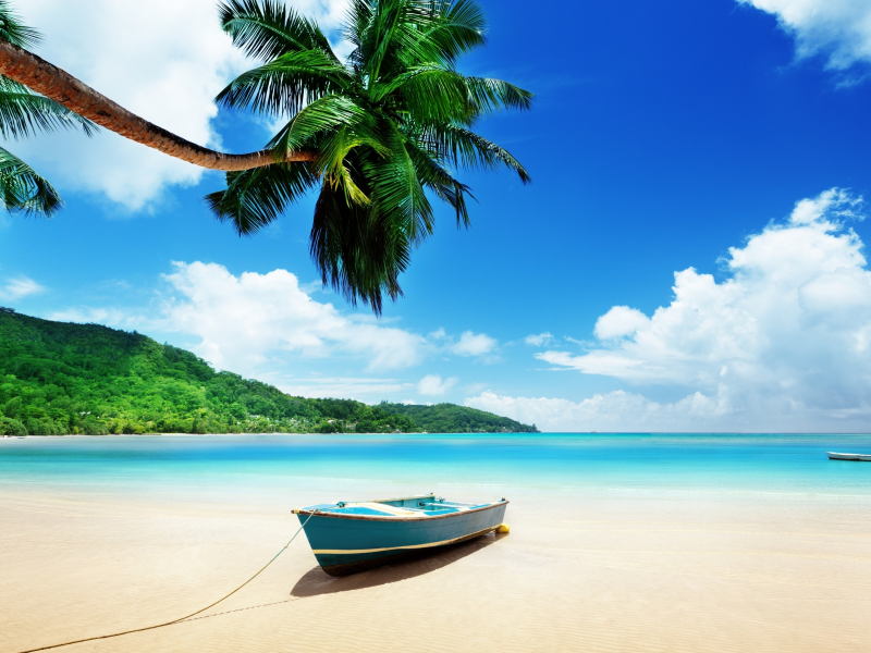 море, тропики, пальма, лодка