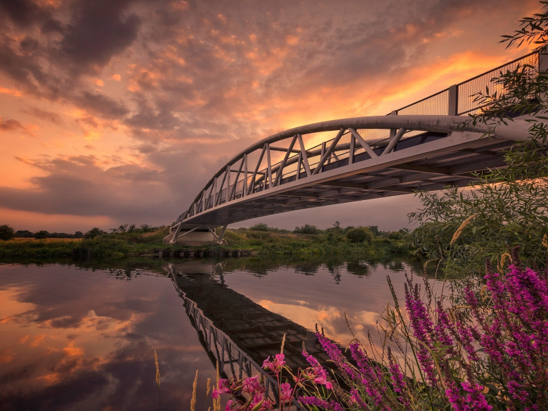 цветы, мост, река