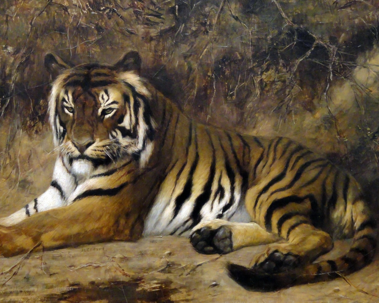 рисунок, тигр