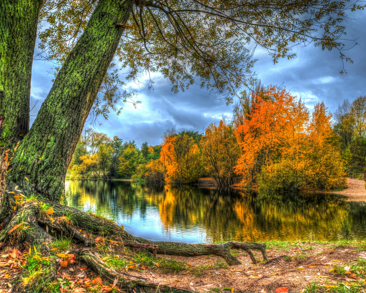 река, деревья, берег, осень, лес, листья