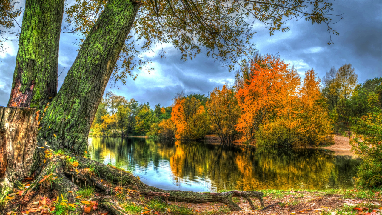 река, деревья, берег, осень, лес, листья