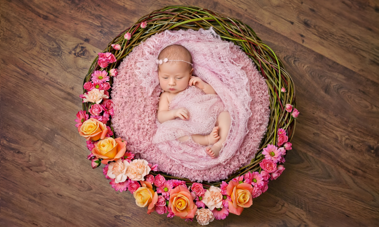 корзина, младенец, wicker, infants, basket, цветы